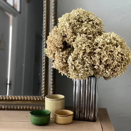 Moulin Dorceau - 8 Couchages - Notre Site * Rémalard